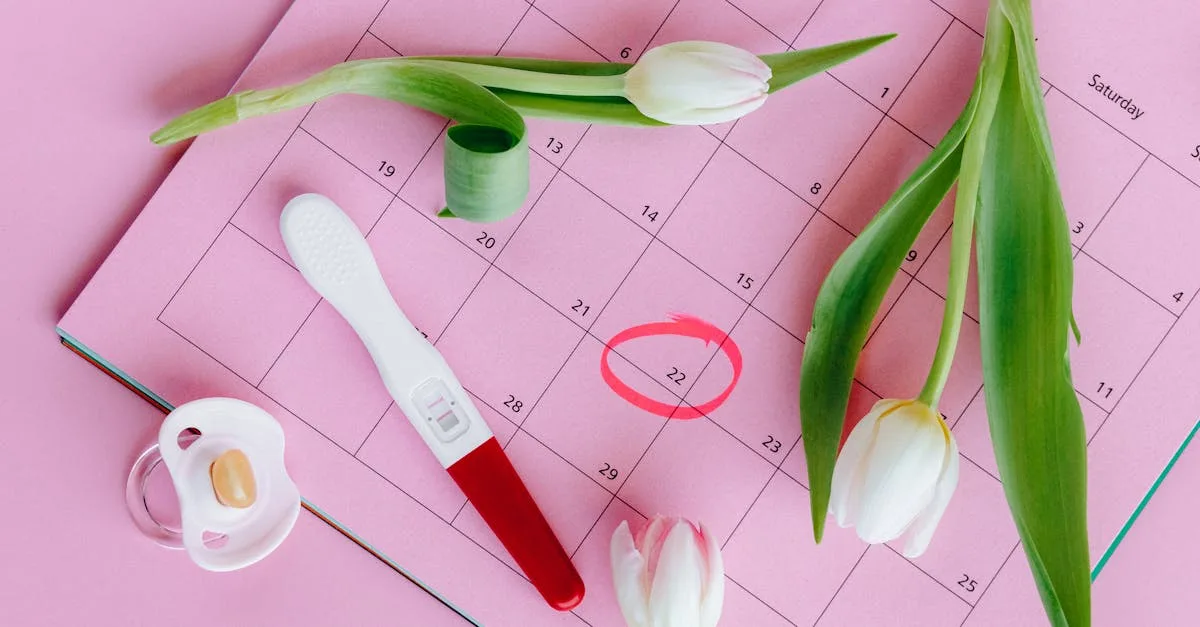 découvrez les facteurs qui influencent les chances de tomber enceinte, les conseils pour augmenter la fertilité et les réponses aux questions fréquentes sur la grossesse.