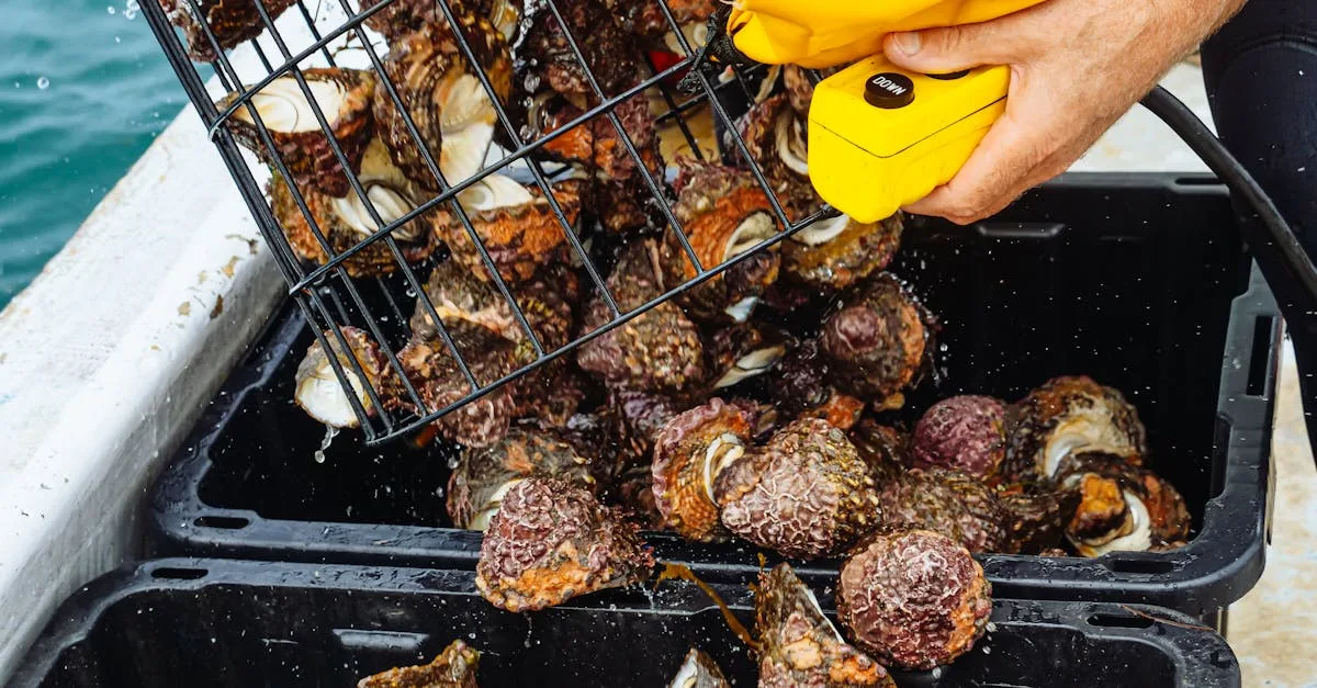 découvrez des pratiques durables pour réduire votre impact environnemental et promouvoir un avenir éco-responsable.